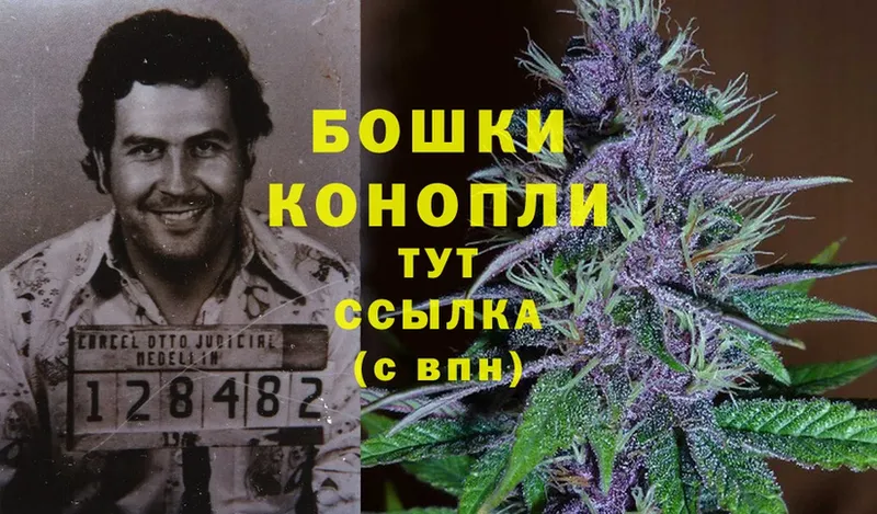 Конопля OG Kush  Киселёвск 